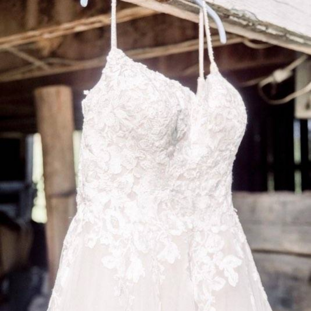Elegance by Roya Wedding Dress $1500